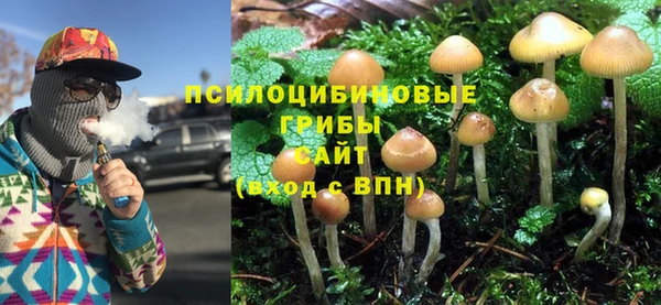 spice Белокуриха