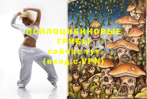 амф Белоозёрский