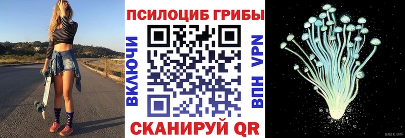 как найти   Острогожск  Псилоцибиновые грибы MAGIC MUSHROOMS 