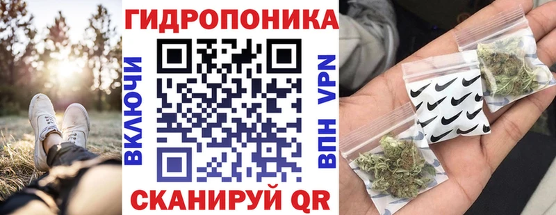 Бошки Шишки THC 21%  наркотики  Острогожск 